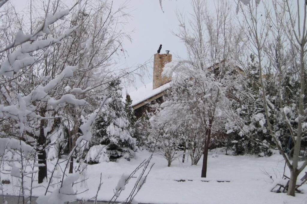 Casa En El Campo Con Encanto Almansa Extérieur photo