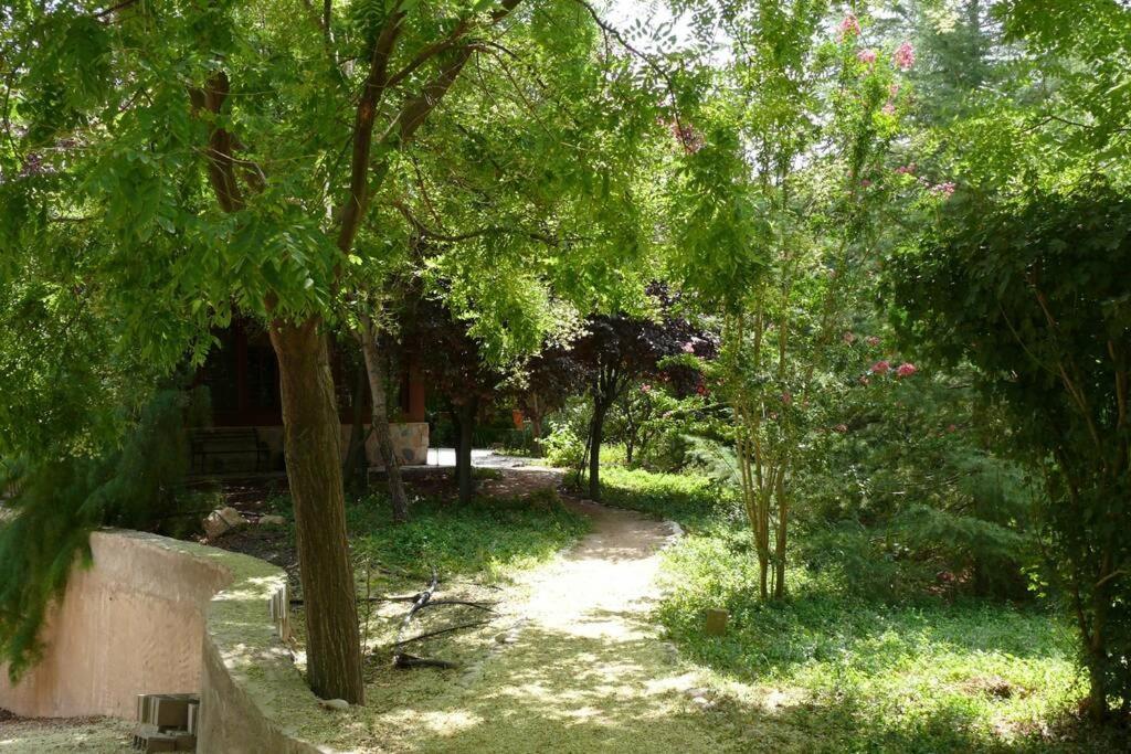 Casa En El Campo Con Encanto Almansa Extérieur photo