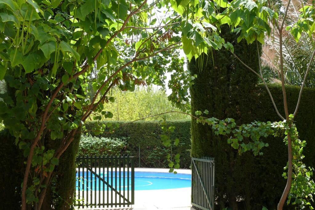 Casa En El Campo Con Encanto Almansa Extérieur photo